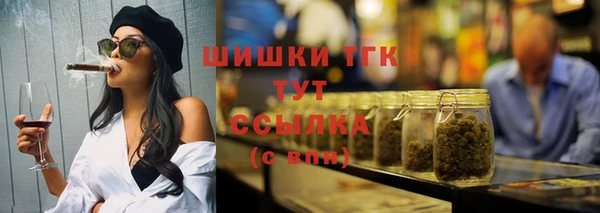 гидра Богородицк