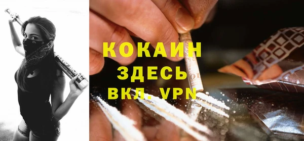 гидра Богородицк