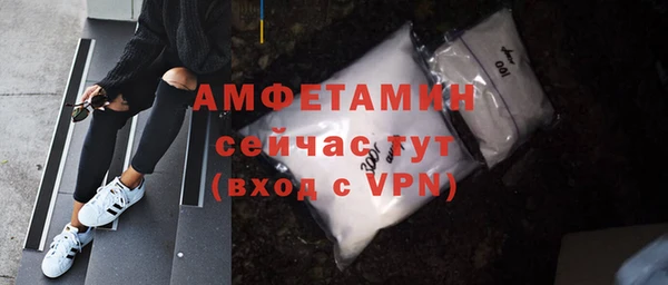 гидра Богородицк