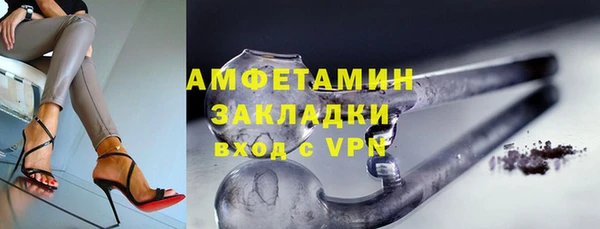 гидра Богородицк