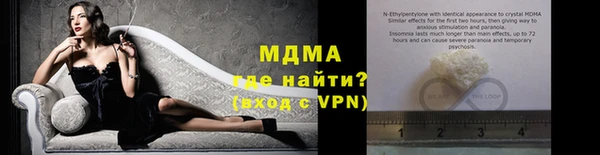гидра Богородицк