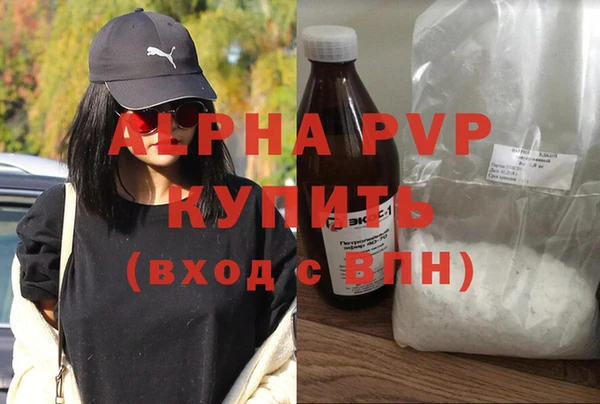гидра Богородицк