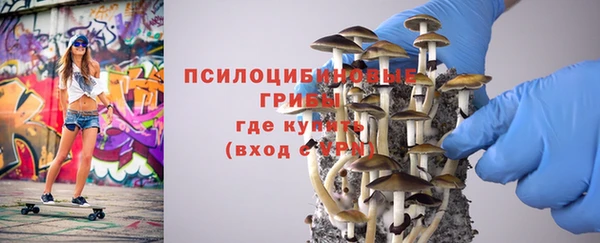 гидра Богородицк