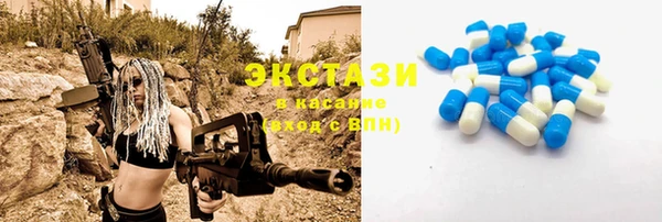 гидра Богородицк