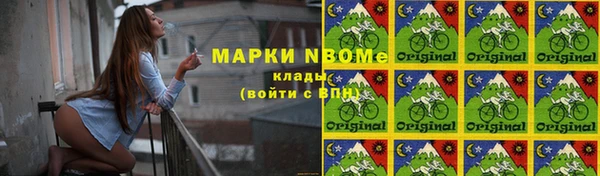 гидра Богородицк