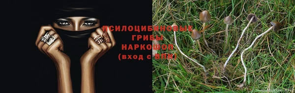бутират Богданович