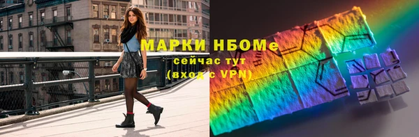 гидра Богородицк