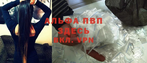 гидра Богородицк